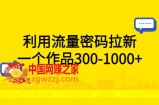 利用流量密码拉新，一个作品300-1000+