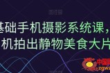 0基础手机摄影系统课，手机拍出静物美食大片