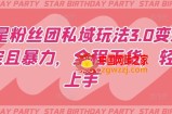 明星粉丝团私域玩法3.0变现稳定且暴力，全程干货，轻松上手【揭秘】