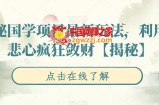 揭秘国学项目最新玩法，利用慈悲心疯狂敛财【揭秘】
