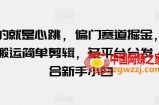 玩的就是心跳，偏门赛道掘金，视频搬运简单剪辑，多平台分发，适合新手小白【揭秘】