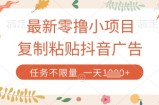 最新零撸小项目，复制粘贴抖音广告即可挣钱，平台大水，任务不限量，一天数张【揭秘】