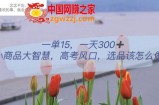 一单15，一天300+，小商品大智慧，高考风口，选品该怎么布局