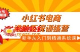 小红书电商进阶系统训练营：新手从入门到精通系统课（21节视频课）