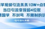 国学视频引流条条10W+点赞当日引流变现超4位数