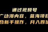 通过视频号推广动漫内容，蓝海项目，适合新手操作，月入四位数