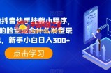 0粉抖音快手挂载小程序，你的脸型适合什么发型玩法，新手小白日入300+【揭秘】