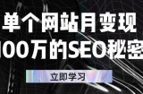 单个网站月变现100万的SEO秘密，百分百做出赚钱站点