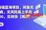 2023最强蓝海项目，闲鱼无货源电商，无风险易上手月赚10000，见效快【揭秘】
