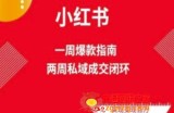 爆款小红书免费流量体系课程(两周变现)，小红书电商教程