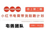 小红书电商带货课2期，月利润20个的小红书电商的有货源，无货源，虚拟产品，付费投流等整套玩法
