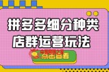 拼多多细分种类店群运营玩法3.0，11月最新玩法，小白也可以操作
