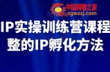 百万IP实操训练营课程，完整的IP孵化方法