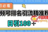 视频号引流精准粉，日引100+，流量爆炸【揭秘】