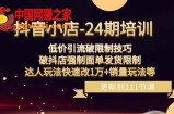 抖音小店-24期：低价引流破限制技巧，破抖店强制面单发货限制，达人玩法快速改1万+销量玩法等
