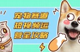 宠物赛道短视频运营全攻略，选品拍摄剪辑实操，实现流量到收益转化