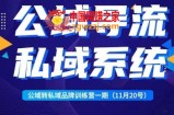 Peter·公域转私域品牌训练营，全套起号打法+沉淀私域系统，企业引流个人微信