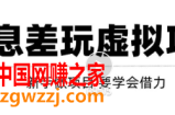 借助信息差操作虚拟项目：互联网大佬都在用（年入百万）！【视频教程】
