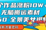 7个作品涨粉10W+，无脑搬运素材，全景美女视频爆款玩法分享【揭秘】