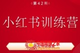 35天小红书训练营(42期)，用好小红书，做你喜欢又擅长的事，涨粉又赚钱