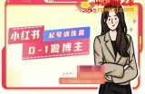 小红书0基础起号训练营，从0-1做博主