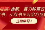 暴力种草收割机小红书，小红书平台全方位解析