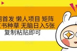 全网首发 懒人项目 矩阵小红书种草 无脑日入5张 复制粘贴即可