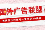 外面收费1980最新国外LEAD广告联盟搬砖项目，单号一天至少30美金(详细教程)