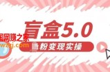 盲盒交友5.0，男粉变现实操项目，亲测变现效果极好【揭秘】
