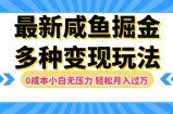 最新咸鱼掘金玩法，0成本小白无压力，多种变现方式，轻松月入过W