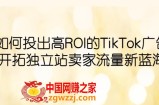 如何投出高ROI·TikTok广告，开拓独立站卖家流量新蓝海