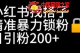 小红书找搭子暴力精准锁粉+引流日引200+精准粉