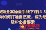 短视频全案操盘手线下课(4-5月)教你如何打通自然流，成为想象级IP必备要素