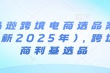 亚马逊跨境电商选品案例(更新2025年4月)，跨境电商利基选品