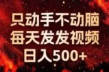 （13325期）种草平台发短视频，只动手不动脑，每天发发视频，日入500+