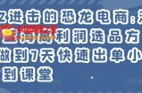 进击的恐龙电商：淘宝小众蓝海高利润选品方法论，做到7天快速出单小白也能做到