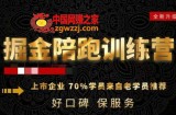 180天全程陪跑训练营：各行业案例深入解析，短视频账号全案操盘，直播人货场全方面讲解，付费投流推广实操经验