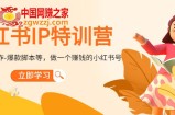 小红书IP特训营：从搭建-制作-爆款脚本等等，做一个赚钱的小红书号