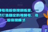 微信视频号增粉转现夏令营，一站式打造出相对稳定的微信视频号，增粉变现方式