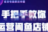 贰叄电商·闲鱼零基础运营课程实战教学（2022版），解无货源模式的逻辑，深层次的了解闲鱼平台
