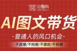 AI图文带货流量新趋势，普通人的风口机会，不直播/不拍摄/不露脸/不剪辑，轻松实现月入过万