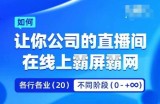 企业矩阵直播霸屏实操课，让你公司的直播间在线上霸屏霸网
