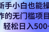 新手小白也能操作的无门槛项目，轻松日入500+【视频教程】