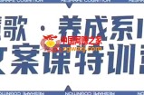 养成系IP文案课特训营，文案心法的天花板，打造养成系IP文案力，洞悉人性营销，让客户追着你收钱