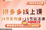 老陶·2023全新【多多运营玩法系列课】，最新最全的运营玩法实操教程