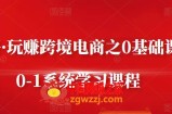 玩赚跨境电商：0基础课程0-1系统学习课程