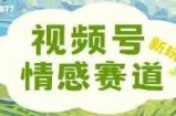视频号情感赛道新玩法，可同步多平台，妥妥的流量密码，轻轻松松月入过万