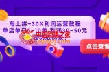 淘上拼+30%利润运营教程 ：单店单日5-10单，利润30-50元（全套玩法视频）