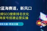 2022蓝海赛道新风口：短视频SEO搜索排名优化+企业商家号搭建运营实操