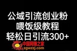 公域引流创业粉，喂饭级教程，轻松日引流300+【揭秘】